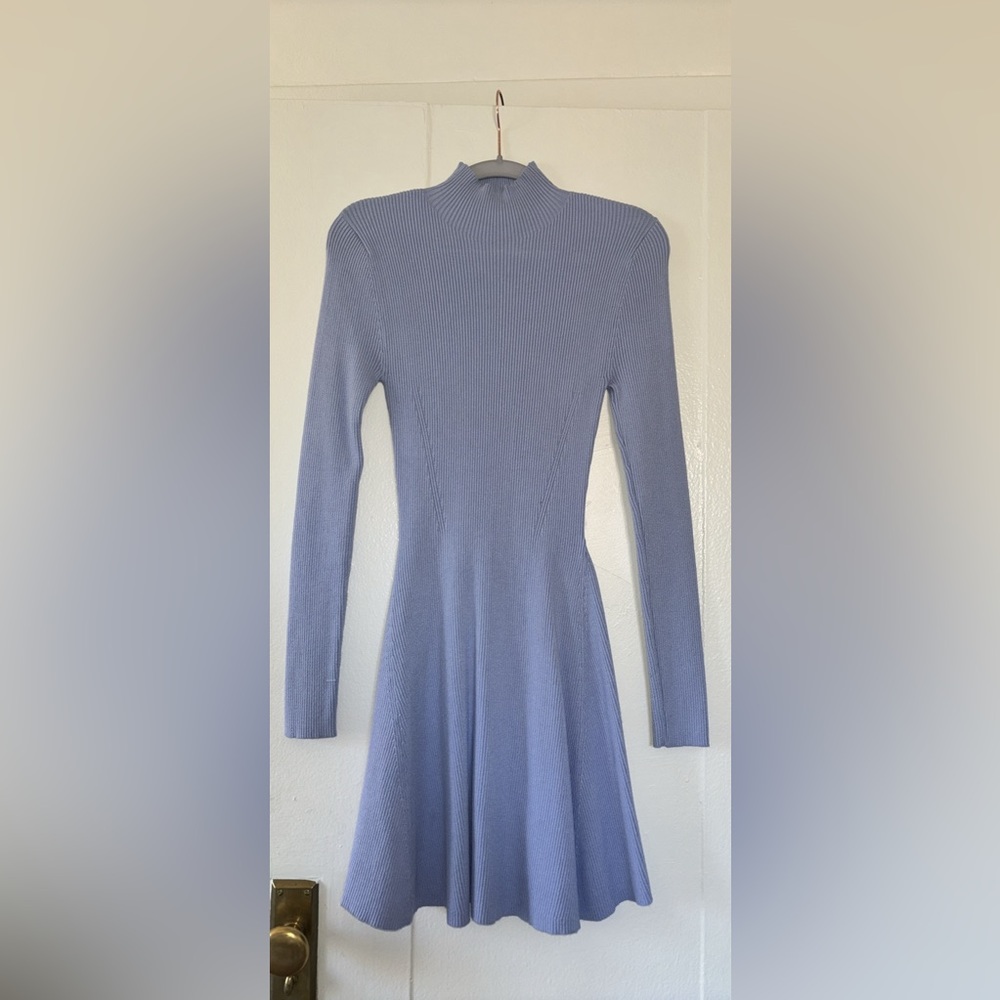 Zara turtle neck dress
